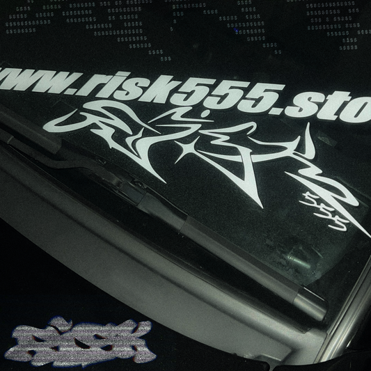 Risk555 Scribe