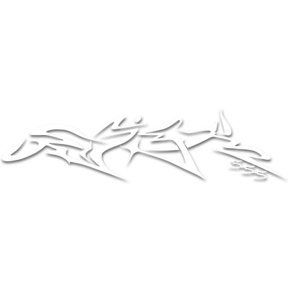 Risk555 Scribe